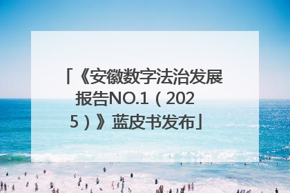 《安徽数字法治发展报告NO.1（2025）》蓝皮书发布