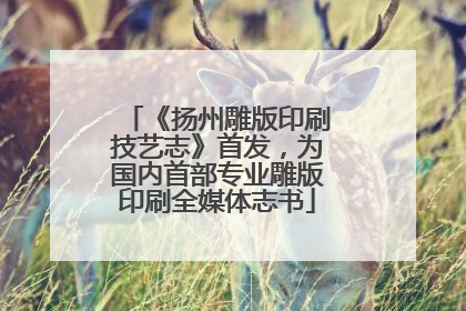 《扬州雕版印刷技艺志》首发，为国内首部专业雕版印刷全媒体志书