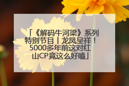 《解码牛河梁》系列特别节目丨龙凤呈祥！5000多年前这对红山CP竟这么好嗑