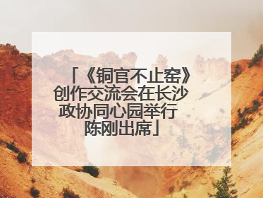 《铜官不止窑》创作交流会在长沙政协同心园举行 陈刚出席