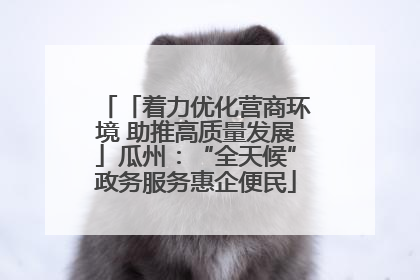 「着力优化营商环境 助推高质量发展」瓜州：“全天候”政务服务惠企便民