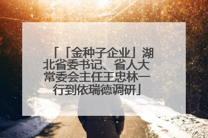 「金种子企业」湖北省委书记、省人大常委会主任王忠林一行到依瑞德调研