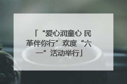 “爱心润童心 民革伴你行”欢度“六一”活动举行