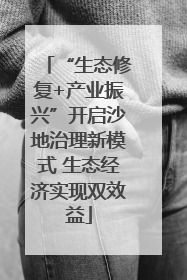 “生态修复+产业振兴”开启沙地治理新模式 生态经济实现双效益