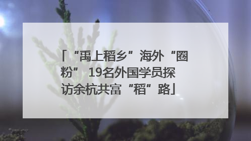 “禹上稻乡”海外“圈粉” 19名外国学员探访余杭共富“稻”路