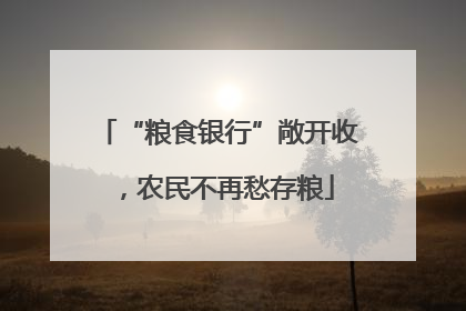 “粮食银行”敞开收，农民不再愁存粮