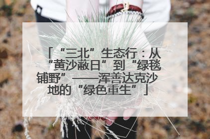 “三北”生态行：从“黄沙蔽日”到“绿毯铺野”——浑善达克沙地的“绿色重生”