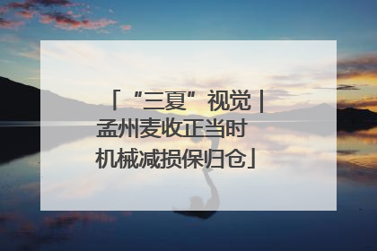 “三夏”视觉｜孟州麦收正当时 机械减损保归仓
