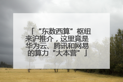 “东数西算”枢纽来沪推介，这里竟是华为云、腾讯和网易的算力“大本营”
