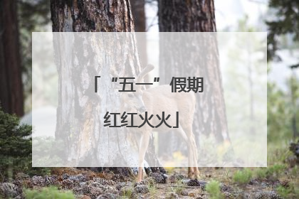 “五一”假期 红红火火