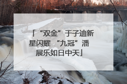 “双金”于子迪新星闪耀 “九冠”潘展乐如日中天