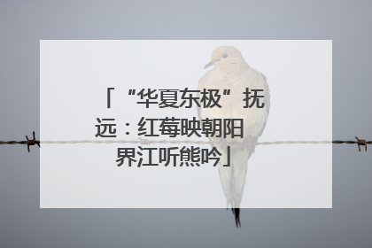 “华夏东极”抚远：红莓映朝阳 界江听熊吟