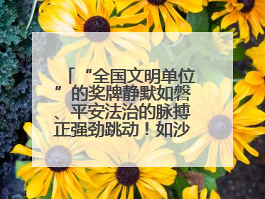 “全国文明单位”的奖牌静默如磐、平安法治的脉搏正强劲跳动！如沙漏翻转，他们开启了全新的计时