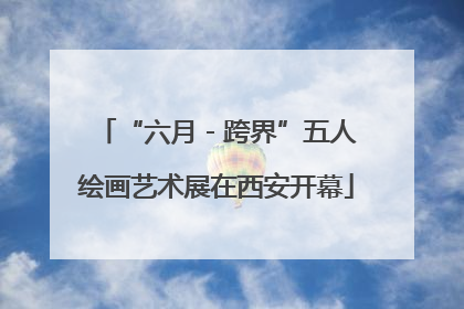 “六月 - 跨界”五人绘画艺术展在西安开幕