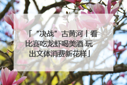 “决战”古黄河丨看比赛吃龙虾喝美酒 玩出文体消费新花样