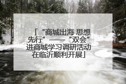 “商城出海 思想先行”——“双会”进商城学习调研活动在临沂顺利开展