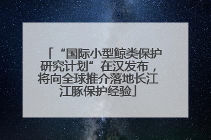 “国际小型鲸类保护研究计划”在汉发布，将向全球推介落地长江江豚保护经验