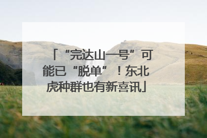 “完达山一号”可能已“脱单”！东北虎种群也有新喜讯