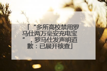 “多所高校禁用罗马仕两万毫安充电宝”，罗马仕发声明道歉：已展开核查