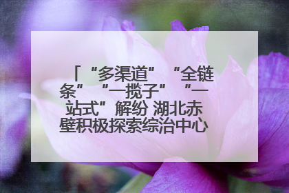 “多渠道”“全链条”“一揽子”“一站式”解纷 湖北赤壁积极探索综治中心规范化建设新路子