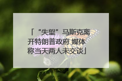 “失望”马斯克离开特朗普政府 媒体称当天两人未交谈