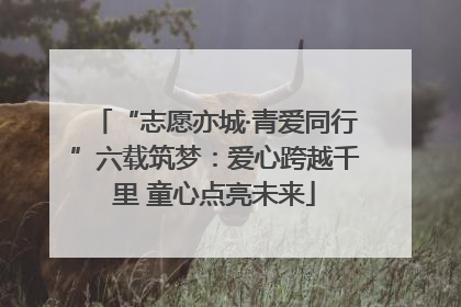 “志愿亦城·青爱同行”六载筑梦：爱心跨越千里 童心点亮未来