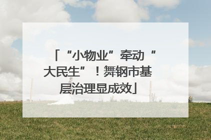“小物业”牵动“大民生”！舞钢市基层治理显成效