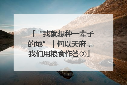 “我就想种一辈子的地”｜何以天府，我们用粮食作答②