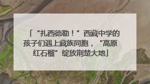 “扎西德勒！”西藏中学的孩子们遇上藏族同胞，“高原红石榴”绽放荆楚大地