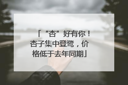“杏”好有你！杏子集中登鹭，价格低于去年同期