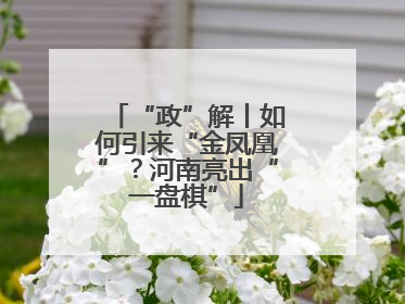 “政”解丨如何引来“金凤凰”？河南亮出“一盘棋”