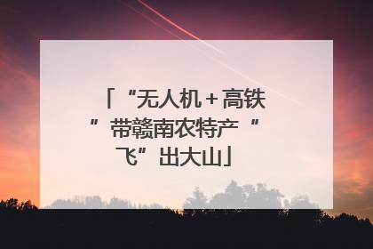 “无人机＋高铁”带赣南农特产“飞”出大山