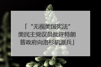 “无视美国宪法” 美民主党议员批评特朗普政府向洛杉矶派兵