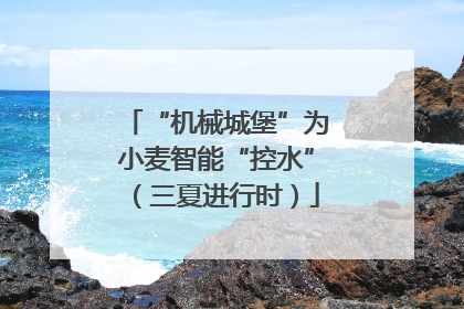 “机械城堡”为小麦智能“控水”（三夏进行时）