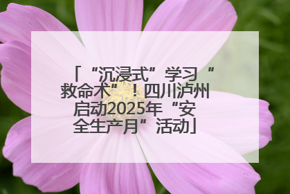 “沉浸式”学习“救命术”！四川泸州启动2025年“安全生产月”活动