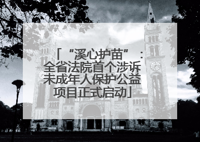 “溪心护苗”：全省法院首个涉诉未成年人保护公益项目正式启动