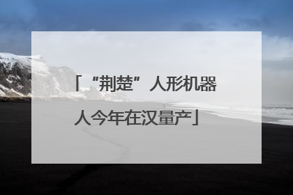 “荆楚”人形机器人今年在汉量产