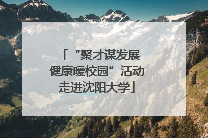 “聚才谋发展 健康暖校园”活动走进沈阳大学