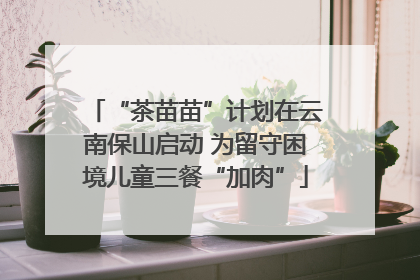 “茶苗苗”计划在云南保山启动 为留守困境儿童三餐“加肉”
