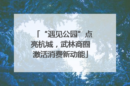 “遇见公园”点亮杭城，武林商圈激活消费新动能