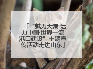 “魅力大港 活力中国·世界一流港口建设”主题宣传活动走进山东