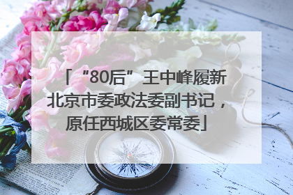 “80后”王中峰履新北京市委政法委副书记，原任西城区委常委