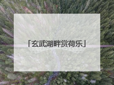玄武湖畔赏荷乐