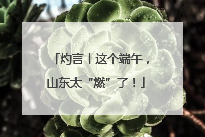 灼言丨这个端午，山东太“燃”了！