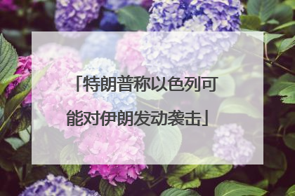 特朗普称以色列可能对伊朗发动袭击