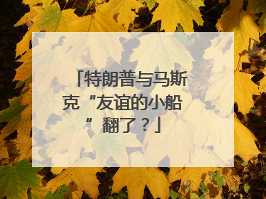 特朗普与马斯克“友谊的小船”翻了?