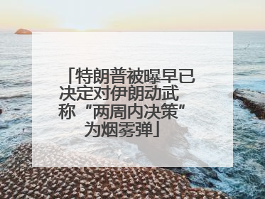 特朗普被曝早已决定对伊朗动武 称“两周内决策”为烟雾弹