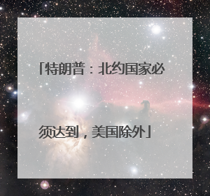 特朗普：北约国家必须达到，美国除外