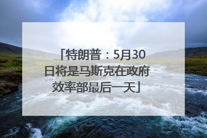 特朗普：5月30日将是马斯克在政府效率部最后一天