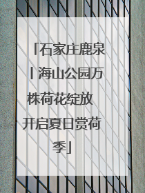 石家庄鹿泉丨海山公园万株荷花绽放 开启夏日赏荷季